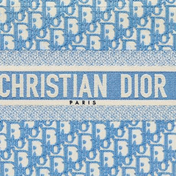 SMALL DIOR BOOK TOTE Cornflower Blue Dior Oblique Embroidery